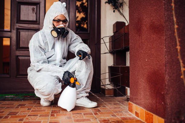 Reliable Bed Bug Control contractor in Mexico, MO by Nex Pest Control